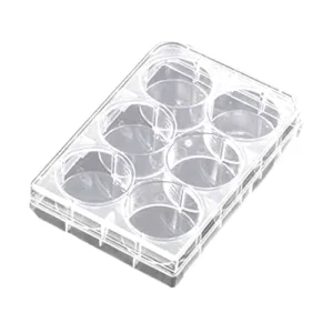 Cell Culture Plate 6 Well Plastic Plate