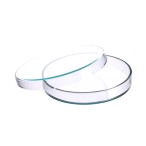 Glass Petri Dishes 90mm for Biology Lab