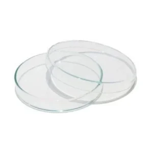 Plastic Petri Dishes 90 mm for Biology Lab